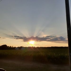 Meet your Posher, Trudy